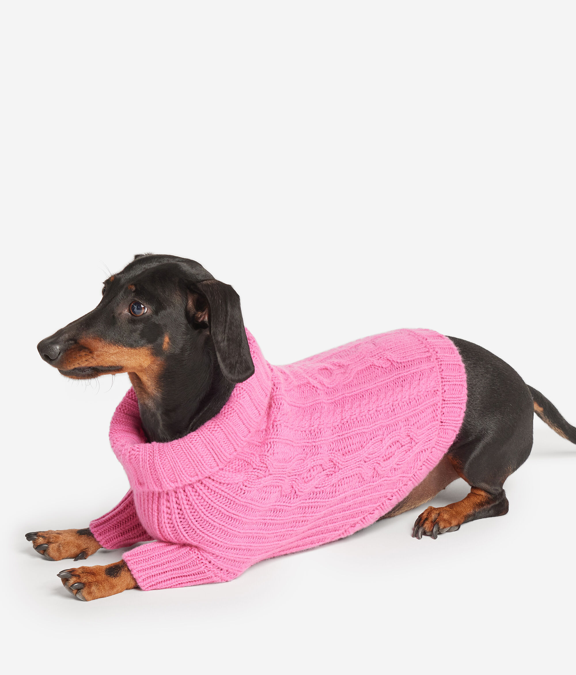 Maglioncino per Cane in Cashmere