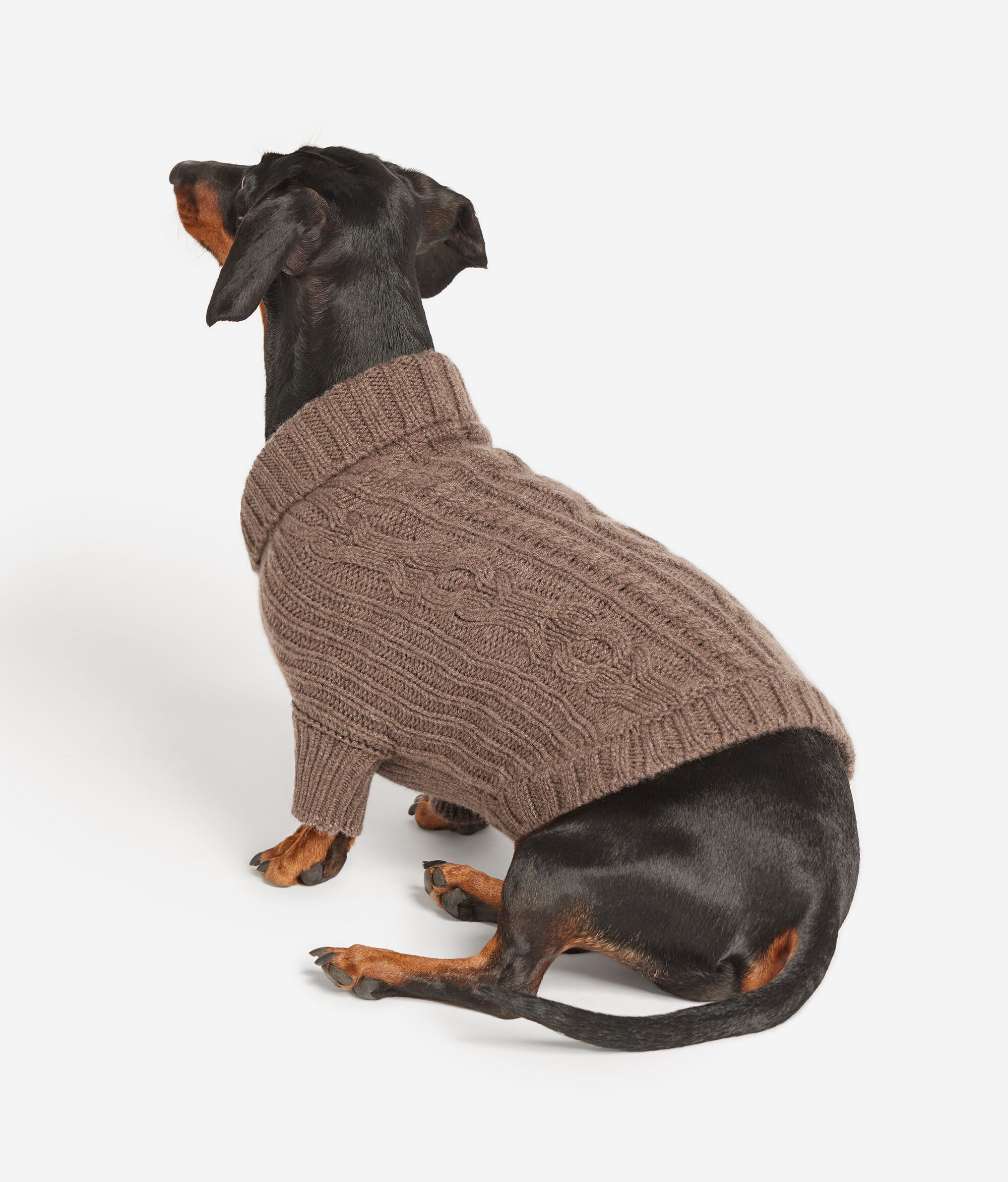 Cashmere Dog’s Garment
