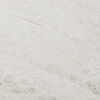 Nieve