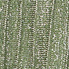 Fern