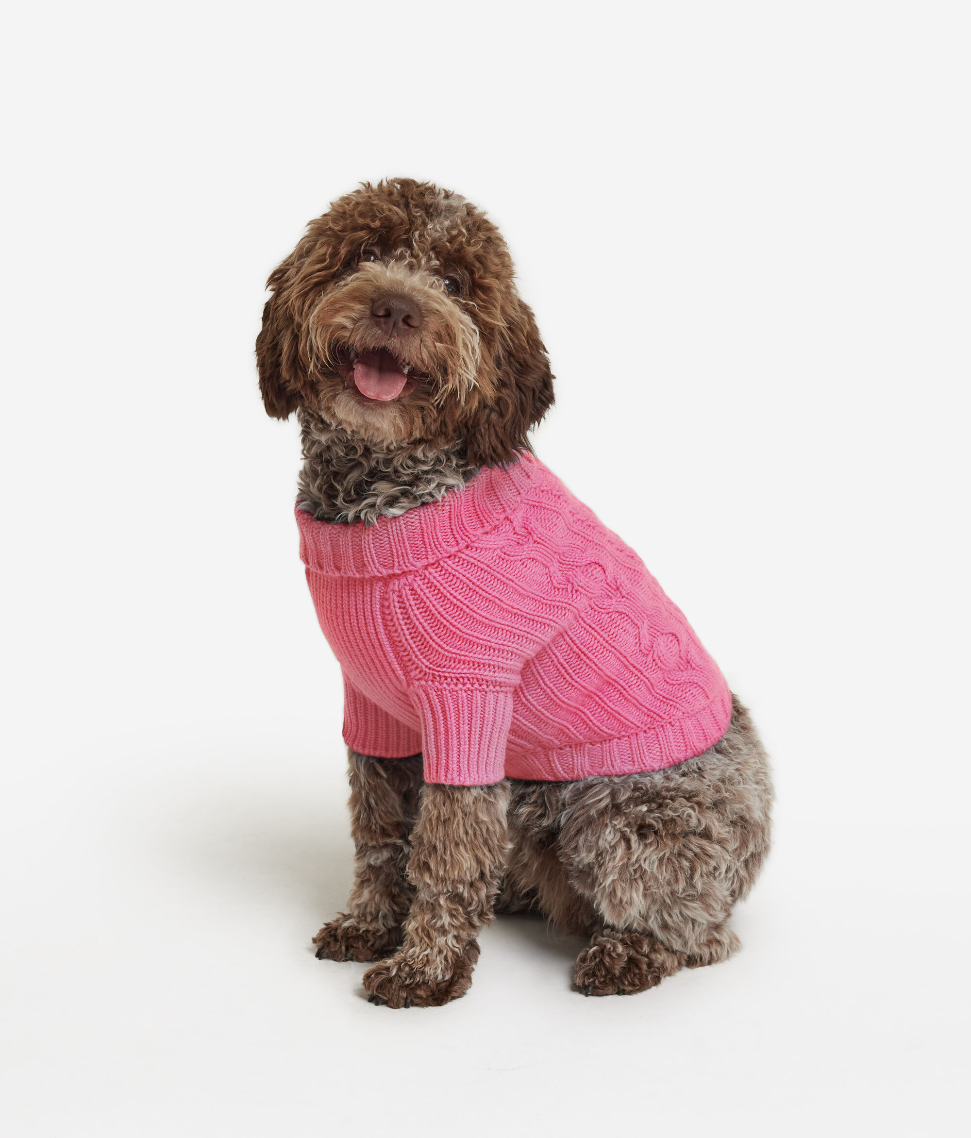 Cashmere Outfit for Dogs