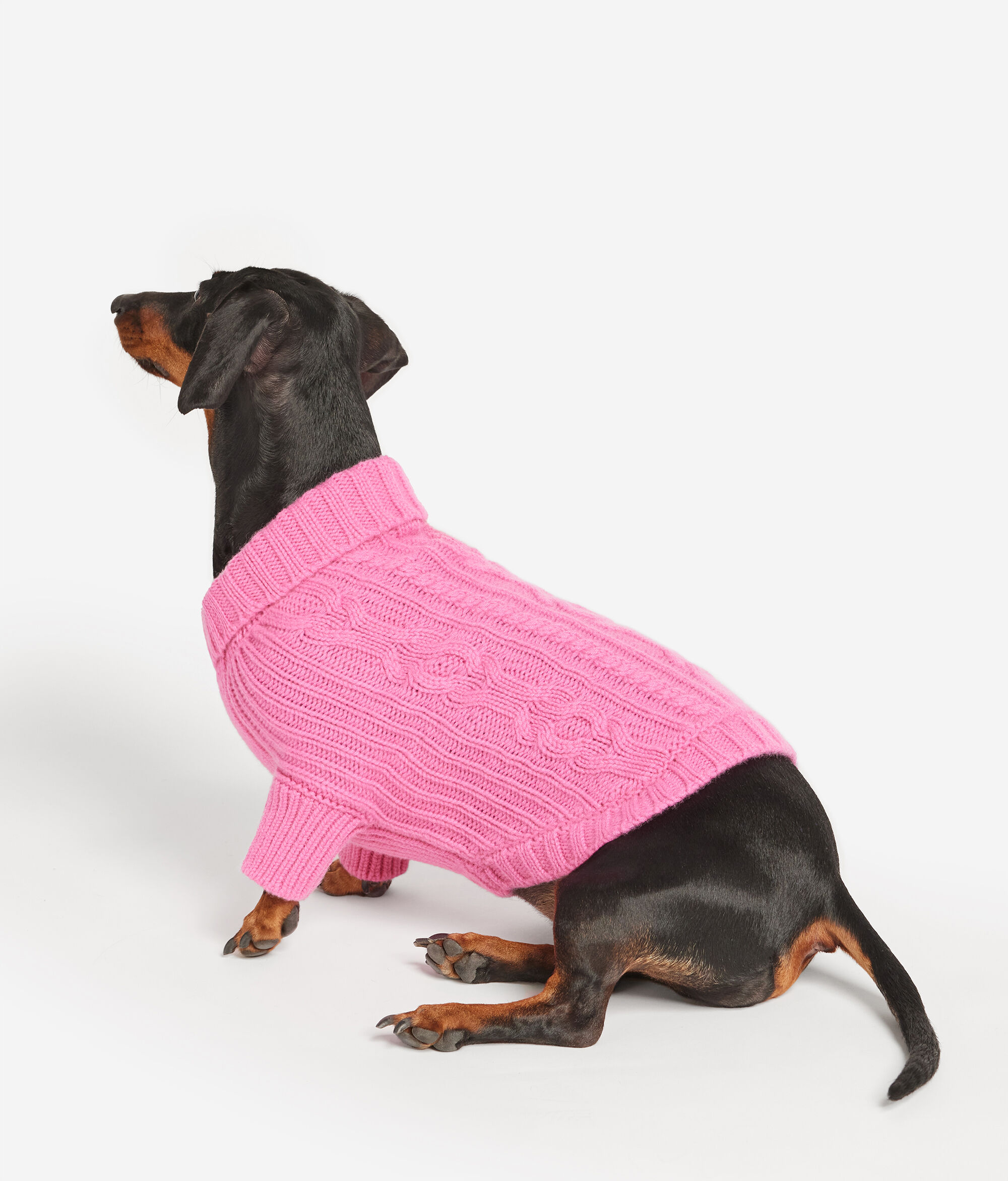 Maglioncino per Cane in Cashmere