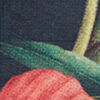 Fruits rouges