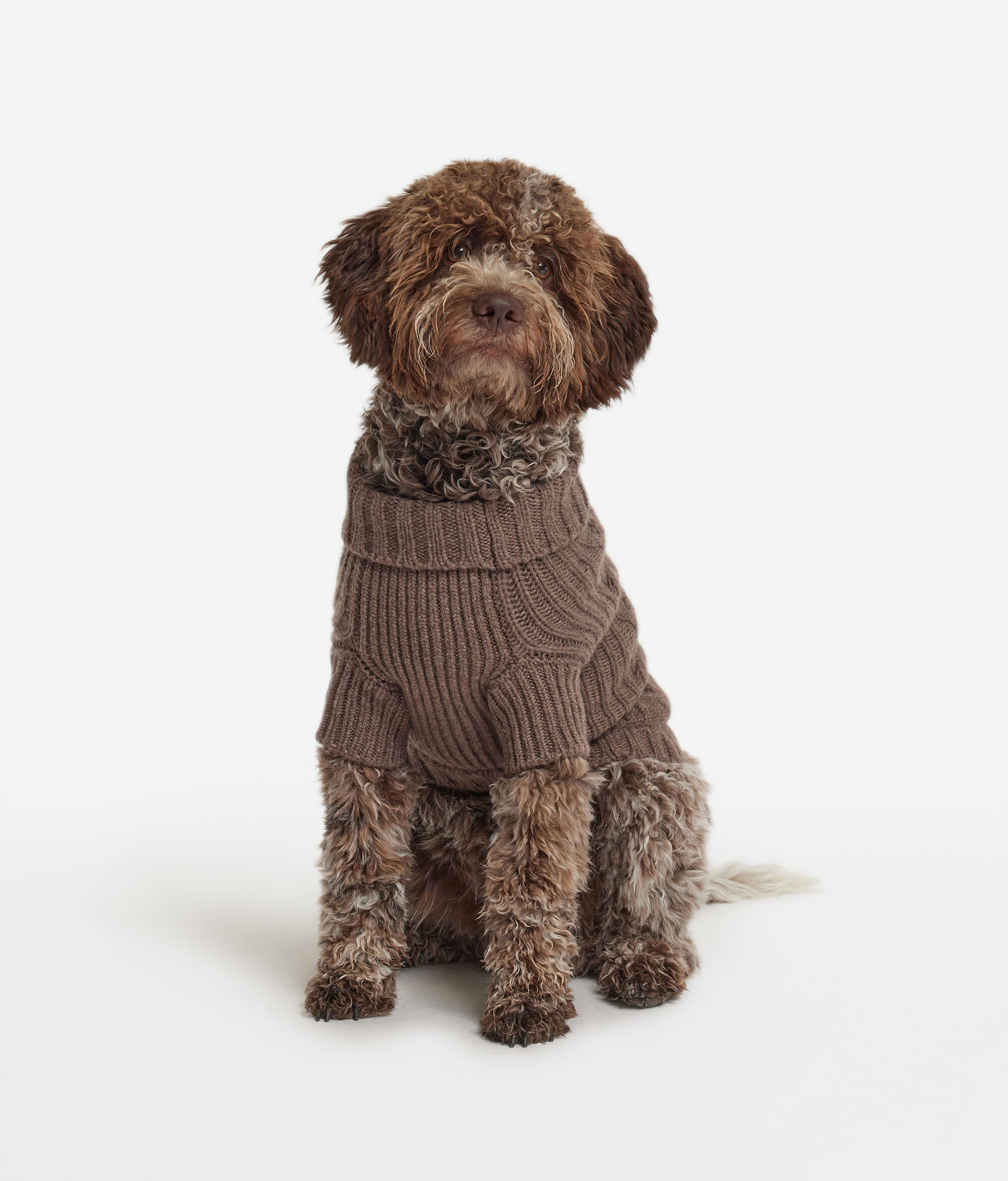 Cashmere Outfit for Dogs
